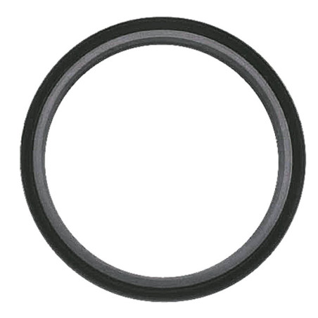 SEAL, REAR CRANKSHAFT CASE