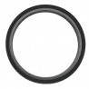 SEAL, REAR CRANKSHAFT CASE