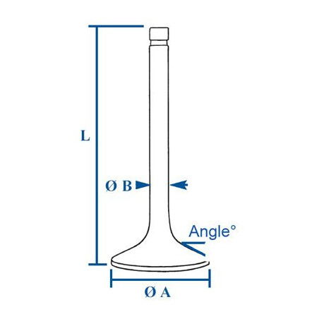 INTAKE VALVE FOR JOHN DEERE