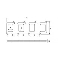 MANIFOLD GASKET
