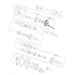 PIÑÓN