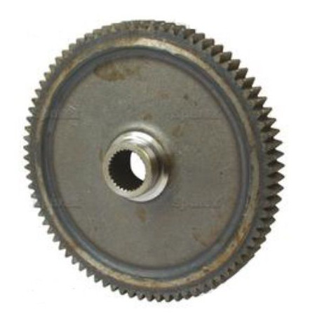 PINHÃO
