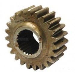 PINION