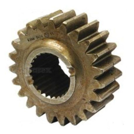 PINION