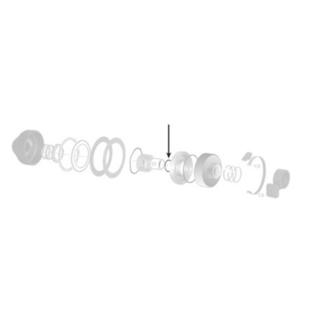 RING (INTERNAL)