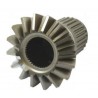 PINION