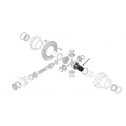 PINION