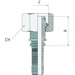 HEMBRA MÉTRICA PN 06 DKOL M12x1.5 (6L)