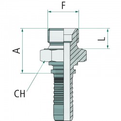 MÄNNLICHE BSP PN 06 AGR 1/4 "