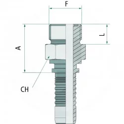 MÄNNLICHE FITTING ORFS PN 06 AGORF 9/16 "
