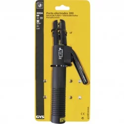 Porte electrode 300a