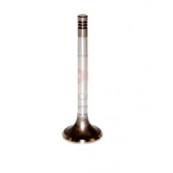 EXHAUST VALVE