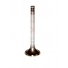EXHAUST VALVE