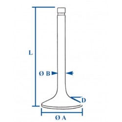 INTAKE VALVE