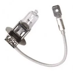GLÜHBIRNENTYP H3 12V-100W BUCHSE PK22S