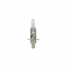 AMPOULE  TYPE H1 12V-55W CULOT P14.5S 