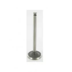 EXHAUST VALVE