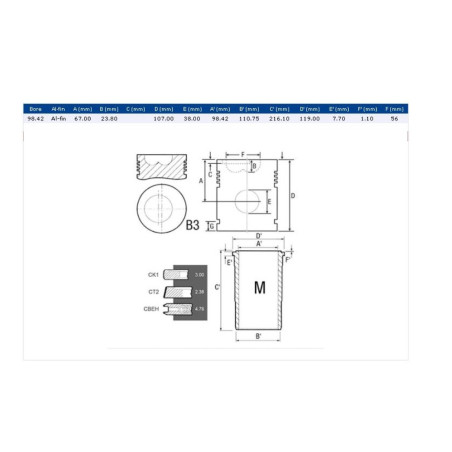 CHEMISE PISTON SEGMENTS 