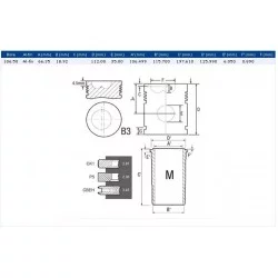 CHEMISE + PISTON + SEGMENTS ( ALESAGE 106.5 MM - AXE DE PISTON 35 MM ) - RE30250