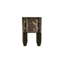 LOT DE 10 MICRO FUSIBLES A FICHES PLATES 2A 