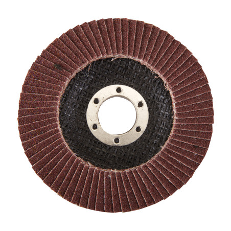 DISQUE A LAMELLES DIAMETRE 125 MM GRAIN 40 