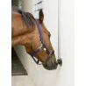 ABREVOIR POUR BOVINS ET CHEVAUX 