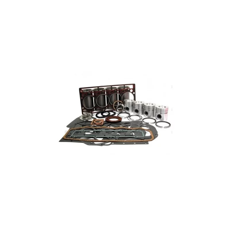 KIT DE REVISION MOTEUR