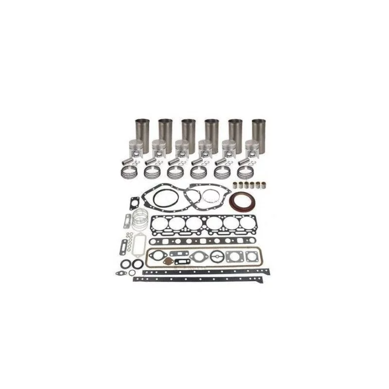 KIT DE REVISION MOTEUR D310