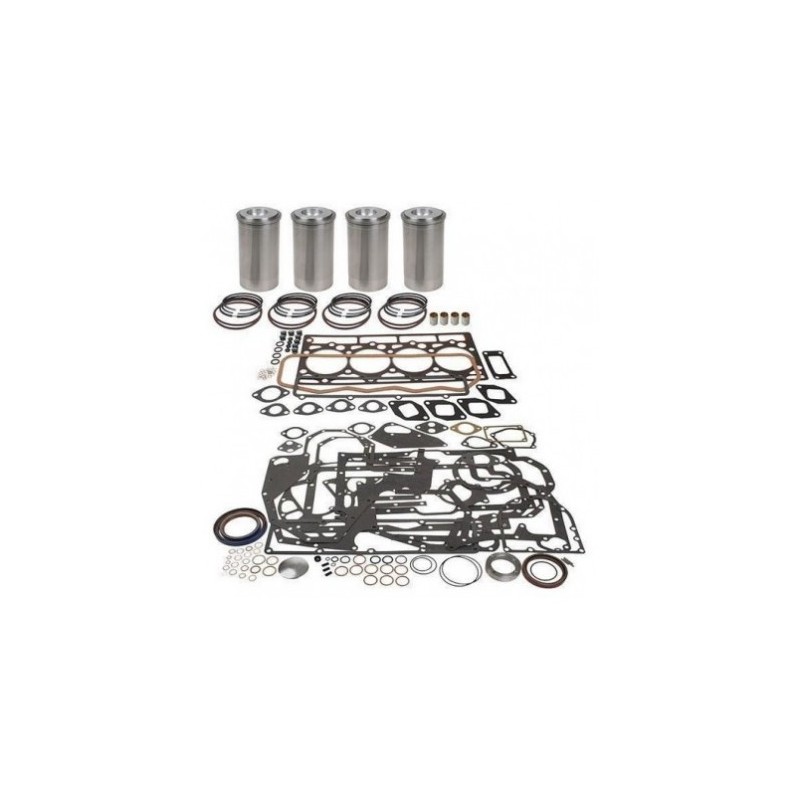 KIT DE REVISION DE MOTOR D239