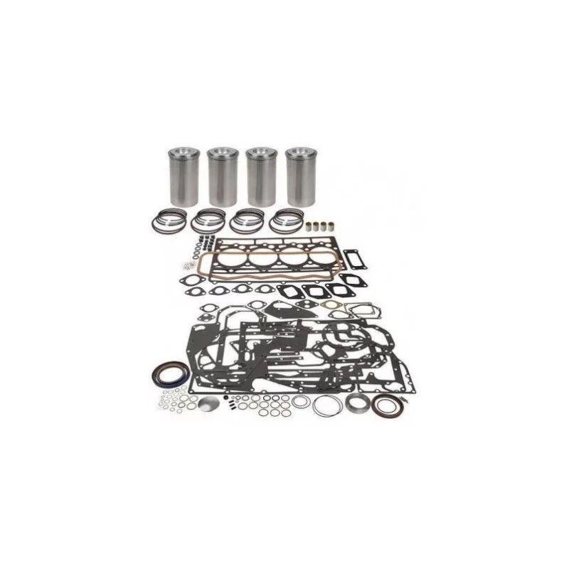 KIT DE REVISION MOTEUR D239