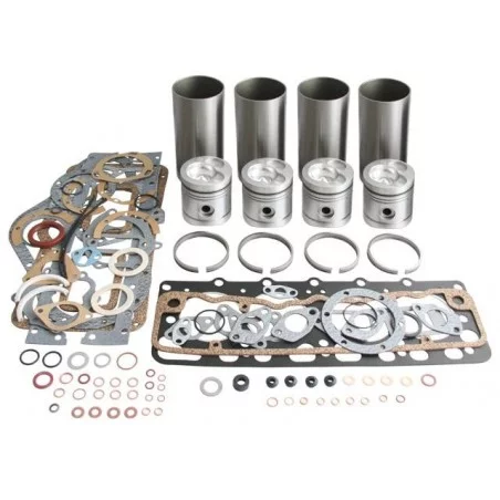 KIT DE REVISION MOTEUR AD4/55 KIT DE REVISION MOTEUR AD4/55