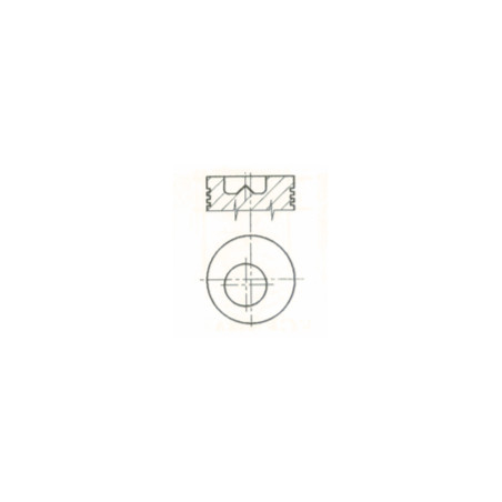 PISTON AVEC SEGMENTS POUR SAME   AXE Ø 32 X 77 MM - 4 SEGMENTS 0.069.0060.6 