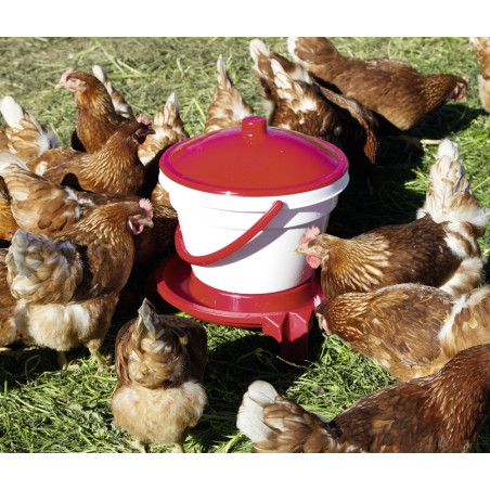 SIPHOIDE POULTRY DRINKER 