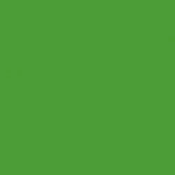 PEINTURE  RAL6018 - VERT JAUNE  POT DE 750 ML 