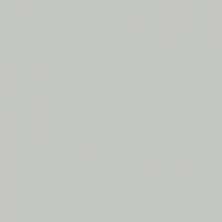 PEINTURE  RAL7035 - GRIS CLAIR  POT DE 750 ML 