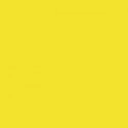 PEINTURE JAUNE JOHN DEERE A PARTIR DE 1987 POT DE 750 ML 