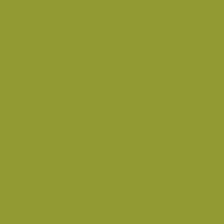 PEINTURE VERT SEMENCE CLAAS AEROSOL DE 300 ML PEINTURE VERT SEMENCE CLAAS AEROSOL DE 300 ML