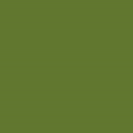 PEINTURE VERT KRONE A PARTIR DE 1991 POT DE 750 ML 