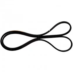 COURROIE SORTIE MOTEUR - COMMANDE ARBRE INTERMEDIAIRE A DROITE 80427456 