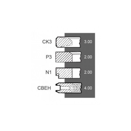 JEU DE 4 SEGMENTS Ø 100 MM - STD 