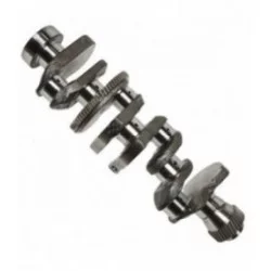 VILEBREQUIN 4 CYLINDRES STANDARD 