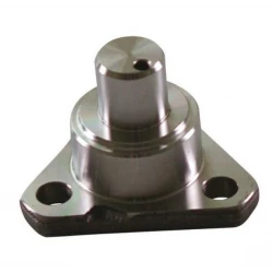 PIVOT DE PONT AVANT INFERIEUR ET SUPERIEUR - 81670C2 