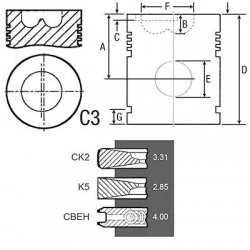 PISTON COMPLET