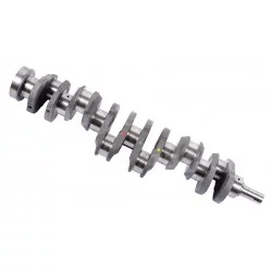 VILEBREQUIN 6 CYLINDRES STANDARD