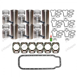 KIT DE REVISION MOTEUR D226-6 - MWM