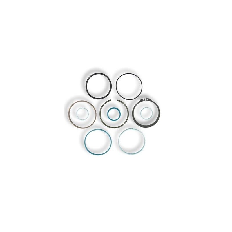 KIT JOINT VERIN DE RELEVAGE POUR FENDT Ø 100 MM - G001990011310 