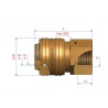 RACCORD RAPIDE FEM BSP 3/8 