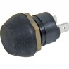 PUSH BUTTON - AL17684 
