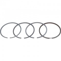 SET DI ANELLI PER DEUTZ 02233074