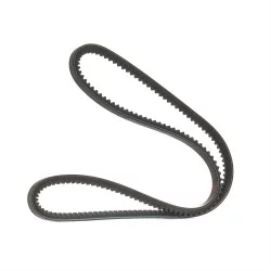 CINTURA DENTATA A CASE